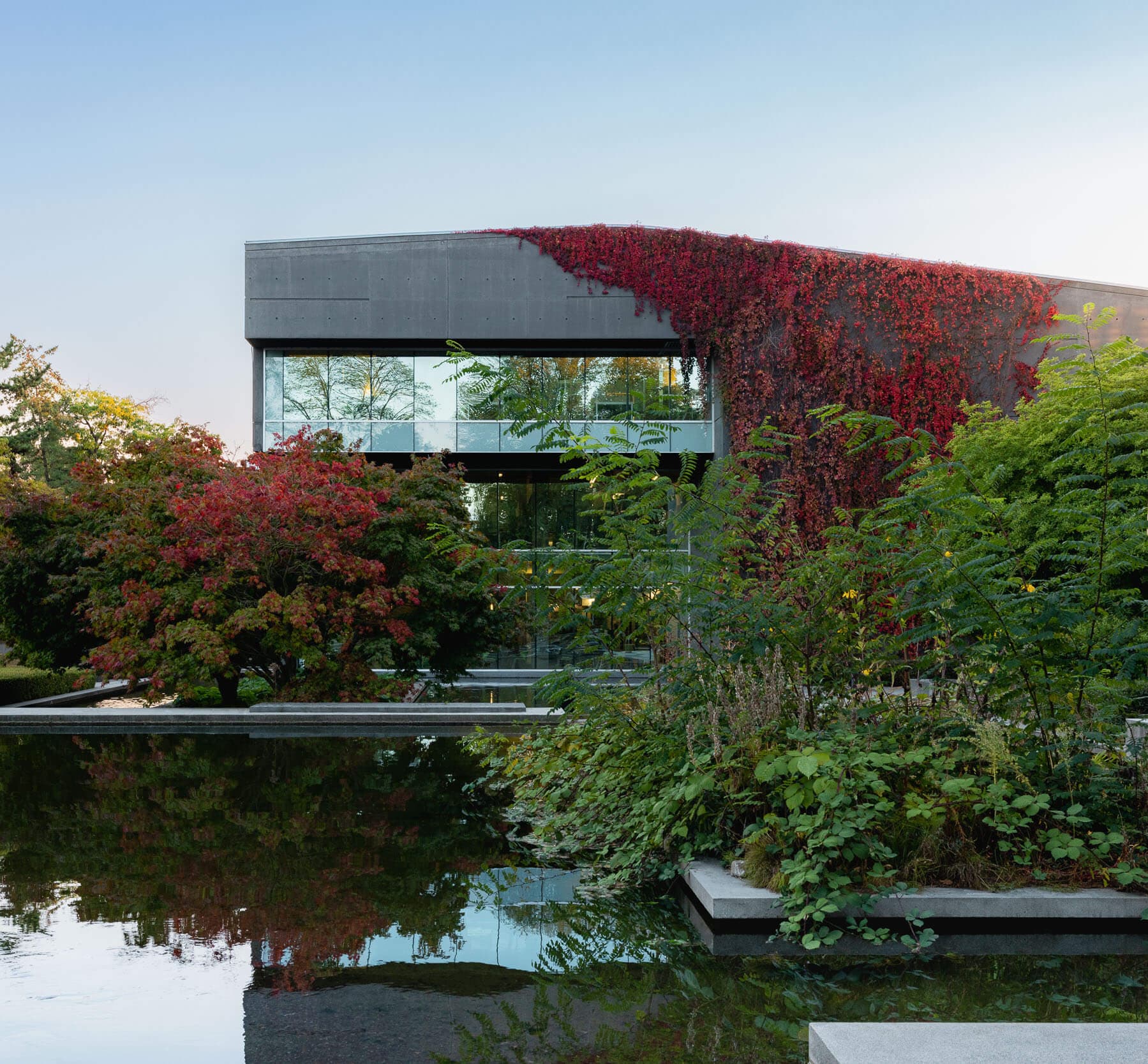 Langara
